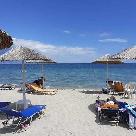 Zografos Hotel 2*