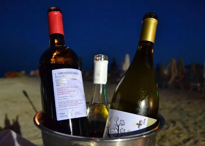 Zografos Hotel Paralía